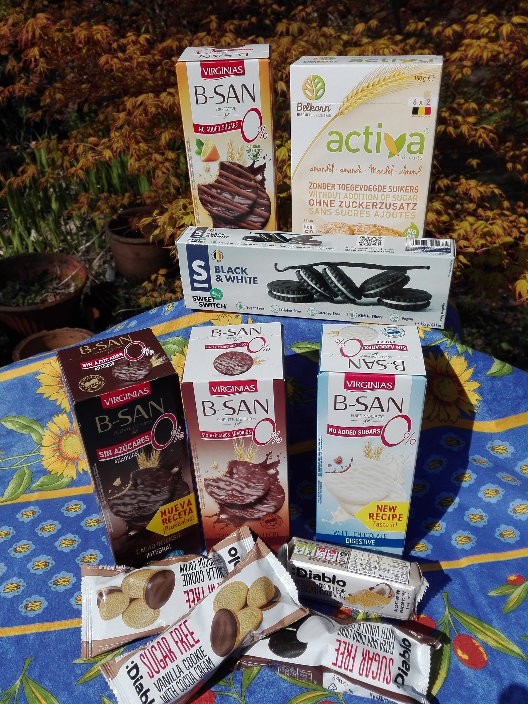 Sugar Free and No added Sugar Biscuits